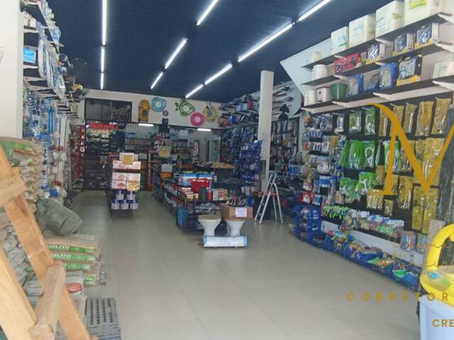 #37 - Ponto Comercial para Venda em Armação dos Búzios - RJ - 3