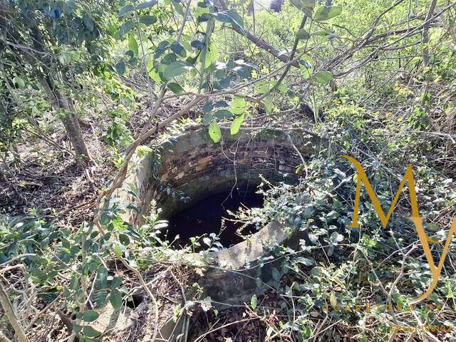 #141 - Sítio para Venda em São Pedro da Aldeia - RJ - 3