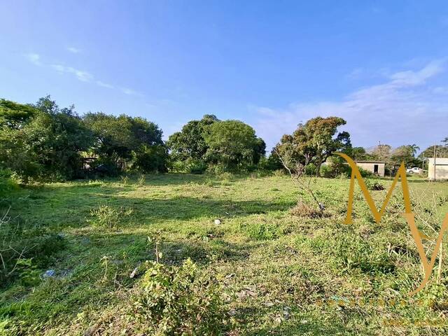 #141 - Sítio para Venda em São Pedro da Aldeia - RJ - 1