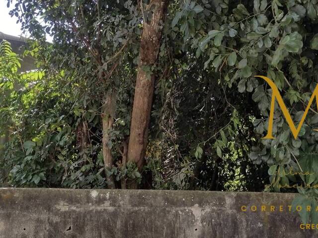 #156 - Terreno para Venda em Cabo Frio - RJ - 1