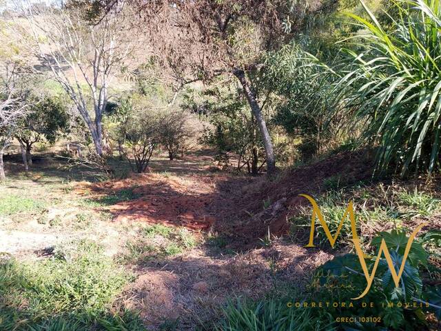 #157 - Terreno para Venda em Soledade de Minas - MG