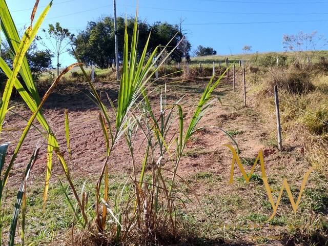 #157 - Terreno para Venda em Soledade de Minas - MG